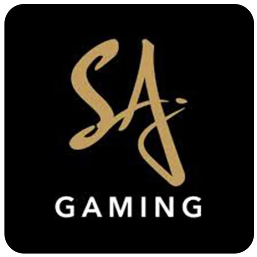 百家樂SA沙龍介紹：17娛樂城的最佳選擇